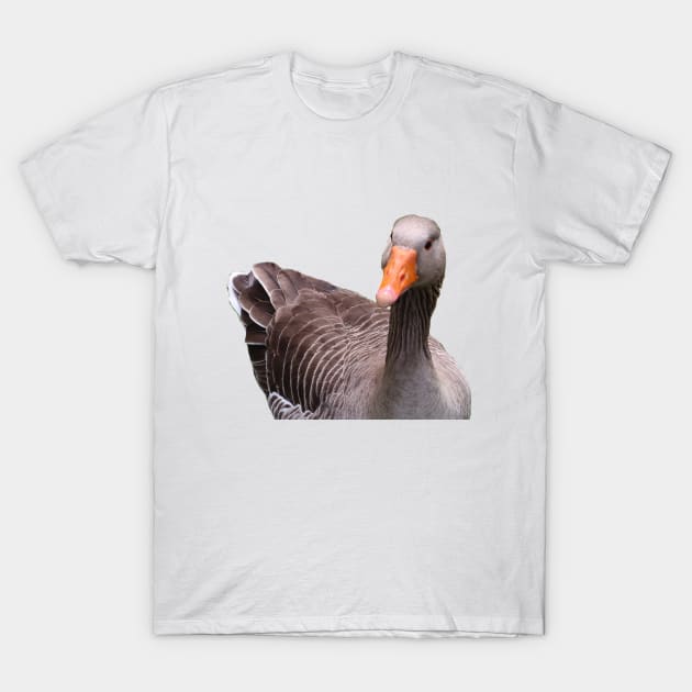 Greylag Goose T-Shirt by Michelle Le Grand